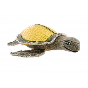 66555